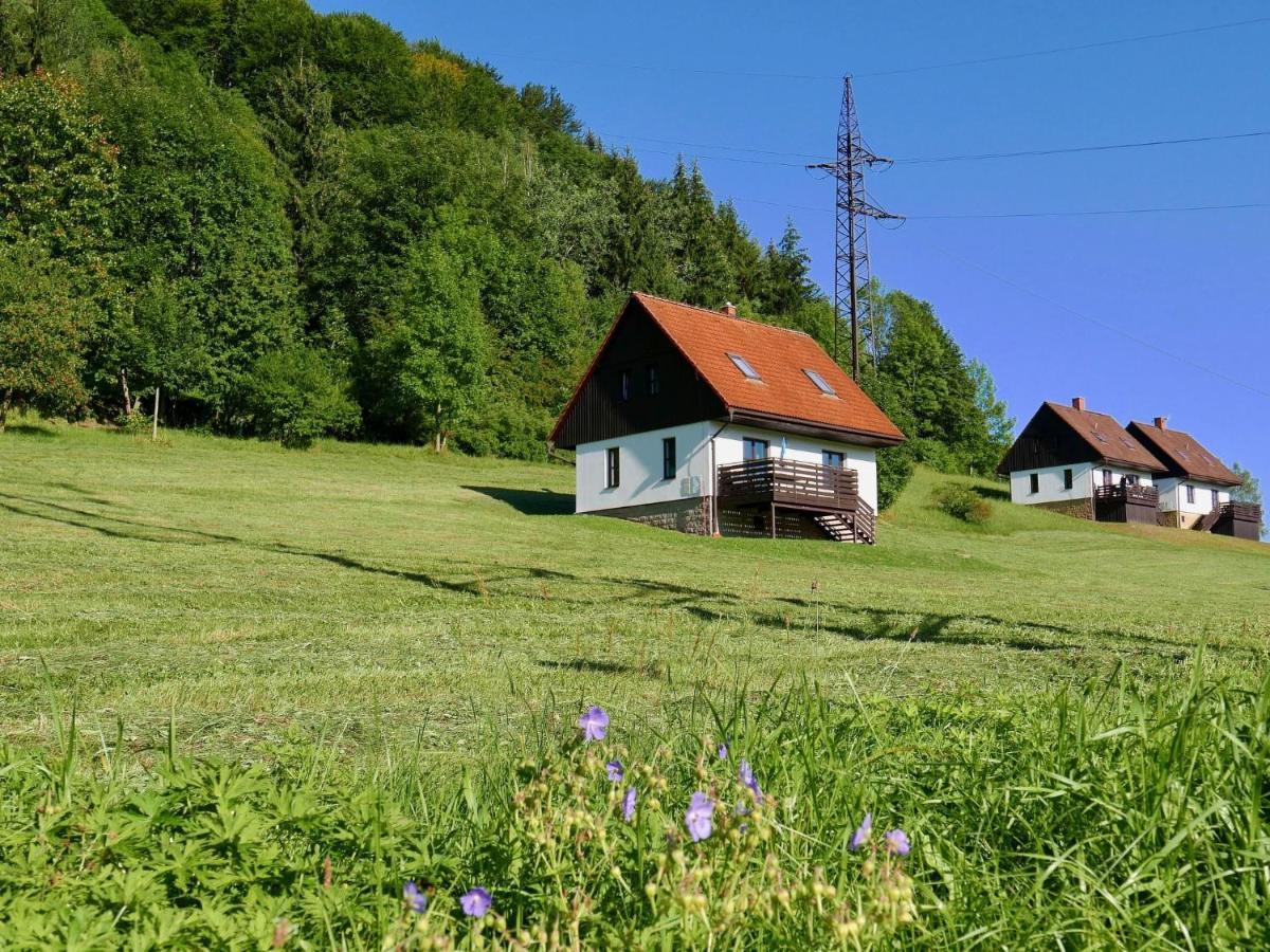 Holiday Home Starkov By Interhome Exterior foto
